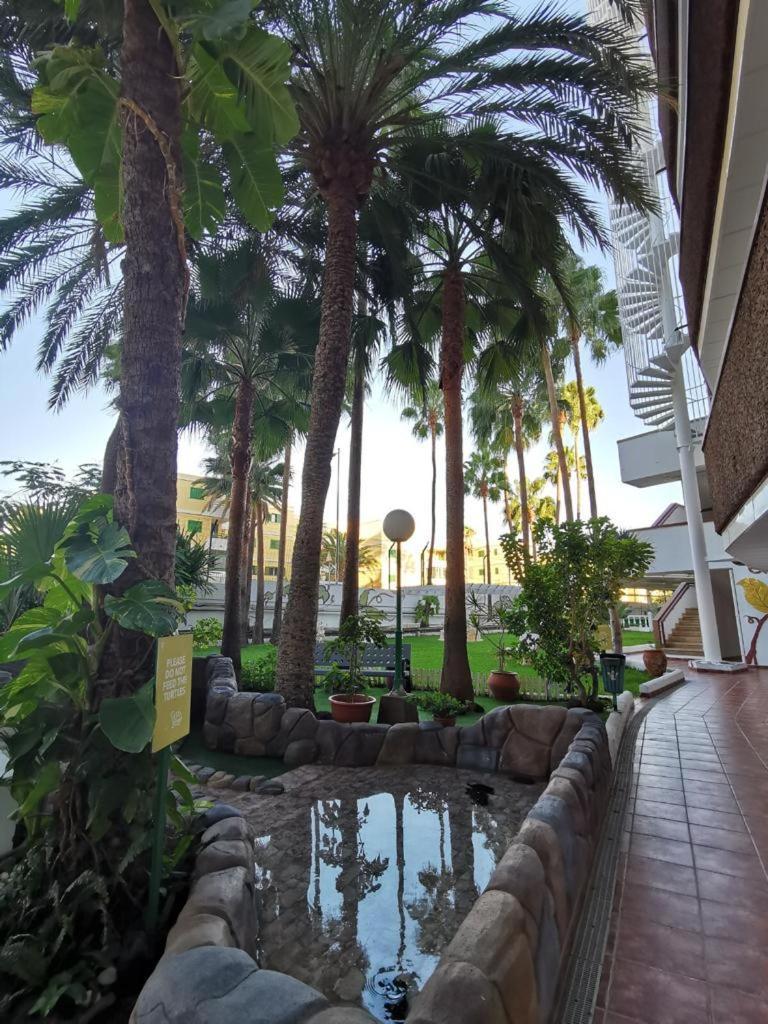 פלאייה דל אינגלז Vanilla Milkshake Apartment מראה חיצוני תמונה